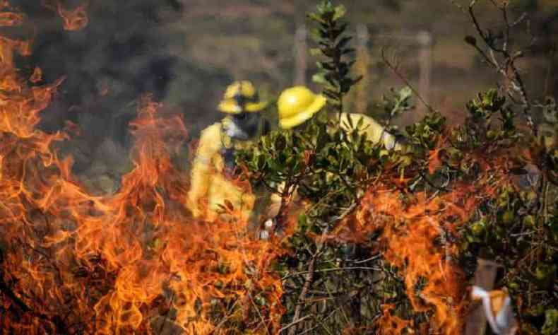 Equipes fizeram simulados de incndios de grandes propores nas unidades de conservao(foto: Leandro Couri/EM/D.A Press)