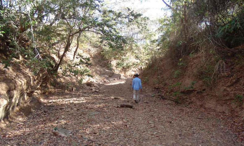 Rio das Pedras, em Glaucilndia, j foi caudaloso, mas agora virou ''estrada''