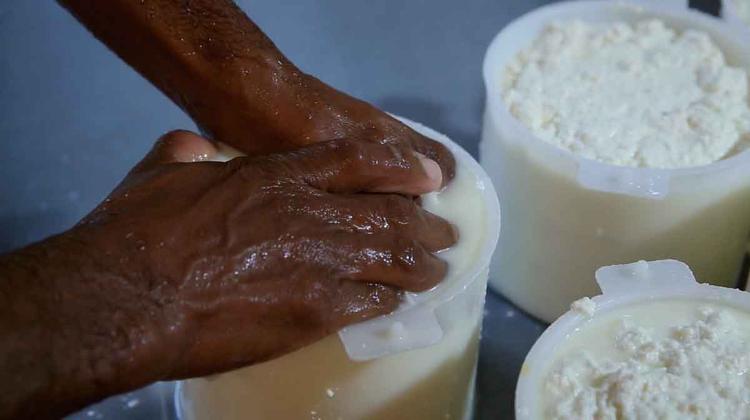 cena do documentrio 'O qu do queijo', de Paulo Henrique Rocha