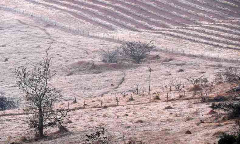 Vista area de uma propriedade rural em Varginha, Minas Gerais, coberta de geada(foto: Douglas Magno / AFP)