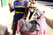 Homem em situação de rua agasalha cão com camisa do Atlético