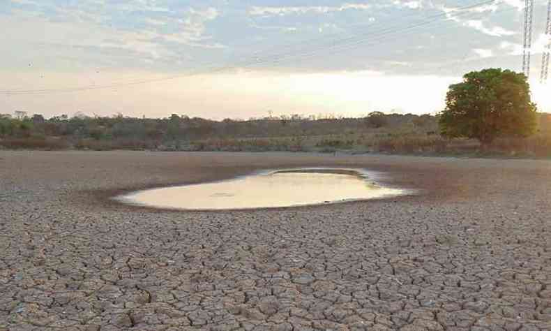 Sem chuva h seis meses em Francisco S, no Norte de Minas, uma lagoa que tinha mais de um hectare de lmina d'gua foi reduzida a uma poa de lama 