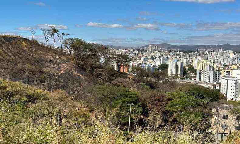 rea queimada em parque municipal de BH