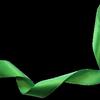 Agosto Verde: coleira antiparasitária para prevenir a leishmaniose 