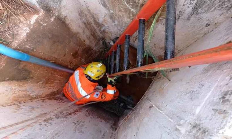 Foram 56 resgates de pessoas e animais em 2021, acidentados em fossas, poços e cisternas(foto: CBMMG/Dilvulgação) resgate
