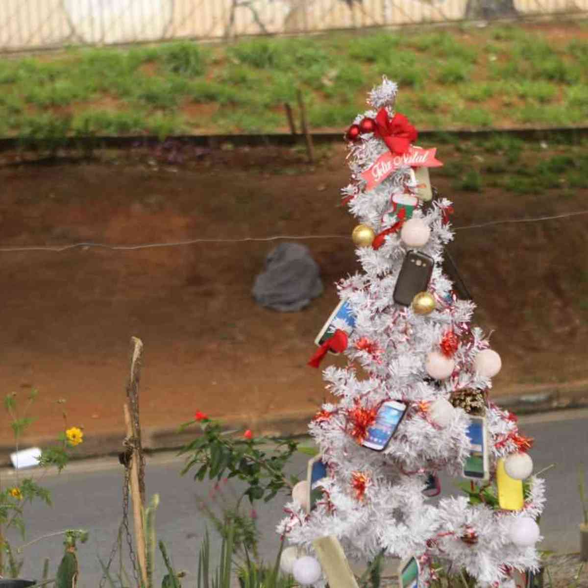 BH: moradores em situação de rua celebram Natal sem perder a tradição -  Gerais - Estado de Minas