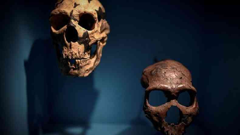 Devemos vrias doenas atuais  herana neandertal, mas tambm um sistema imunolgico mais preparado para combater as infeces(foto: Getty Images)