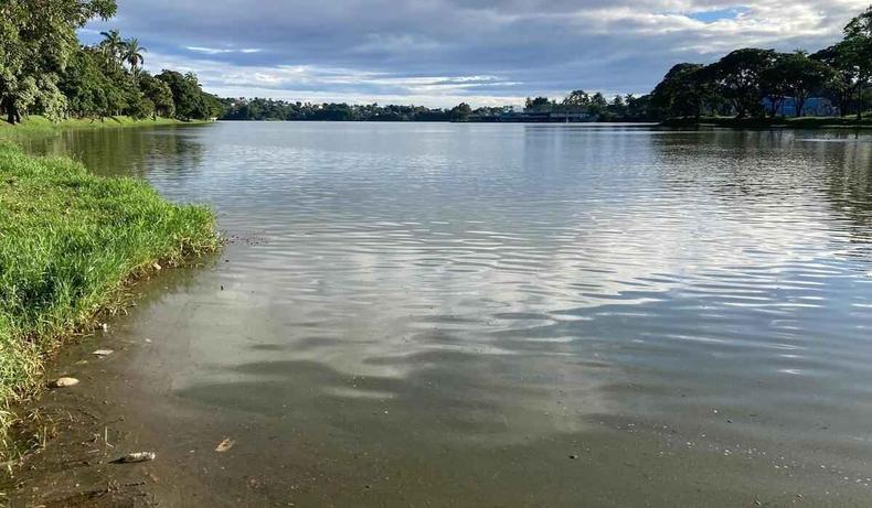 Lagoa da Pampulha com camada verde.