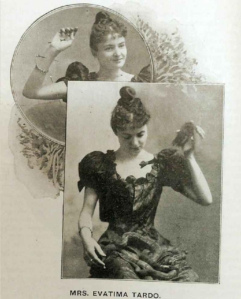 Postal da época mostrando Evatima Tardo com cobras e pregos(foto: BBC) Postal da época mostrando Evatima Tardo com cobras e pregos