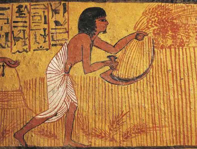 Pintura de um agricultor na tumba de Sennedjem, um arteso que viveu no antigo Egito(foto: Getty Images)