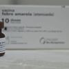 Só vacinação pode manter febre amarela longe das cidades