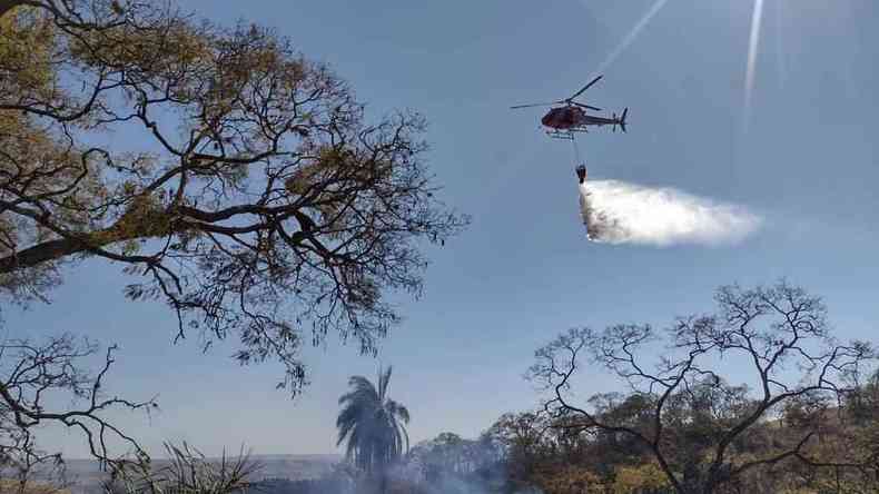 Vrias rvores nativas do cerrado vieram ao cho. Um helicptero ajuda no combate aos focos de incndio (foto: Divulgao (Corpo de Bombeiros/CBMMG))