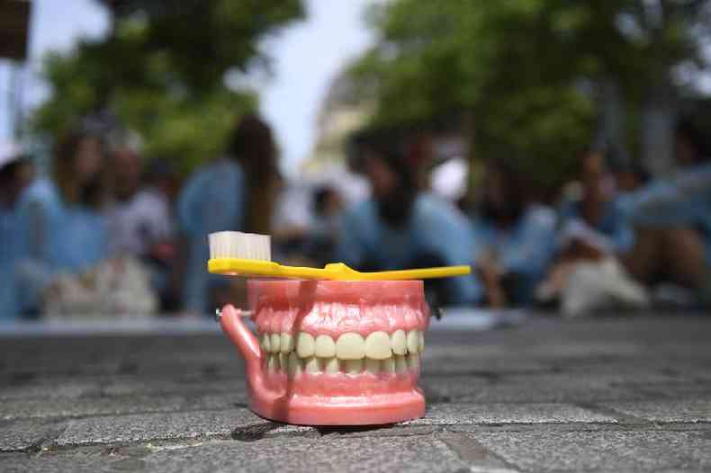 Uma dentadura e uma escova de dentes so expostas durante um protesto de dentistas em Rennes, Frana, em 13 de junho de 2017