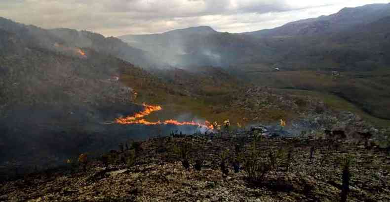 As chamas, que começaram na terça-feira, atingem área de preservação(foto: Corpo de Bombeiros/Divulgação)