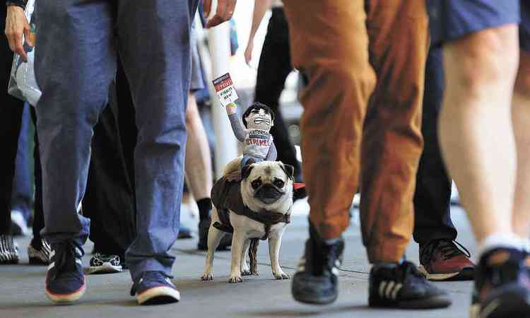 Cachorrinho protesta nas ruas de Nova York