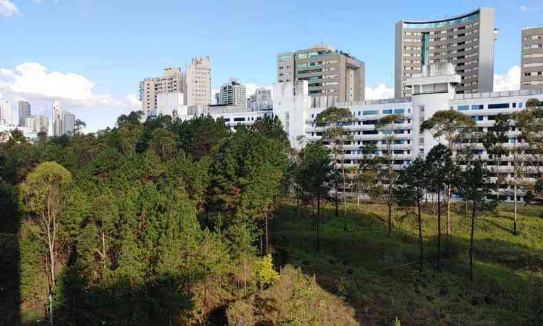 Mata verde entre o Bairro Belvedere, em Belo Horizonte, e Nova Lima
