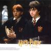'Maioridade' é desafio para o bruxinho Harry Potter