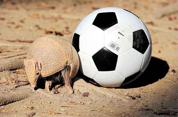 (foto: Correio Braziliense )