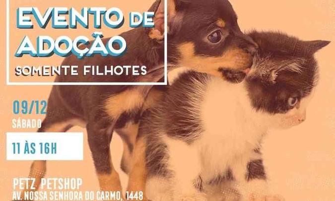 Interessados devem levar xerox de identidade, CPF e comprovante de residência, ser maior de 21 anos e pagar uma taxa de R$ 40(foto: Sociedade Mineira Protetora dos Animais (SMPA)/ divulgação) Interessados devem levar xerox de identidade, CPF e comprovante de residência, ser maior de 21 anos e pagar uma taxa de R$ 40(foto: Sociedade Mineira Protetora dos Animais (SMPA)/ divulgação)
