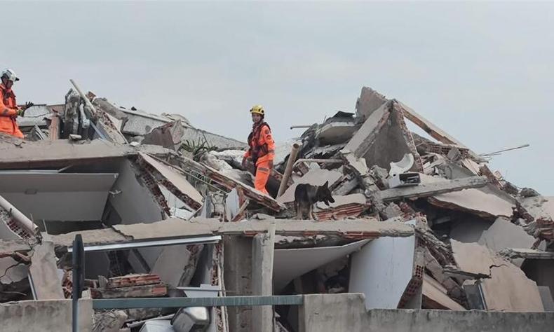 bombeiros e co farejador nos escombros do prdio