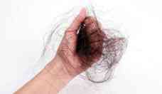 Por que estamos perdendo cabelo? Especialista explica possíveis causas