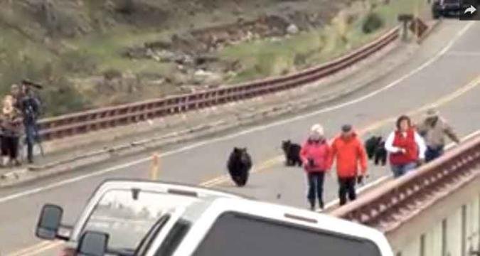 (foto: Fun & Buzz/Daily Motion)