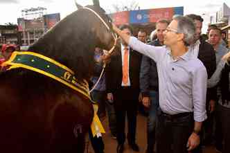 O governador Romeu Zema na exposio do cavalo manga-larga marchador, em BH, junto de um dos animais premiados (foto: ACCMM/Divulgao)