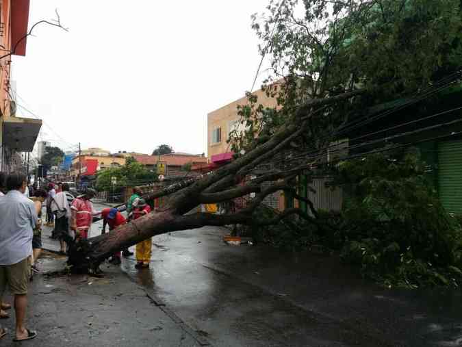 rvore caiu e derrubou trs postes, cortando o fornecimento de energia eltrica da ruaPaulo Filgueiras/EM/D.A PRESS