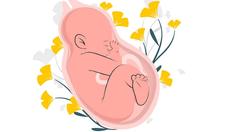 Sonho de ter filhos: você já testou sua fertilidade?