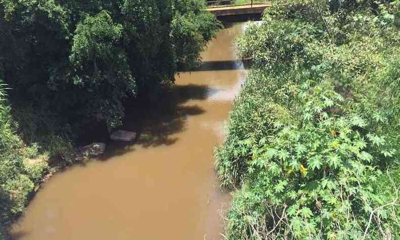 Mulher desapareceu no rio Capivari, prximo a ponte sobre a BR-265, em Lavras(foto: Redes Sociais/Reproduo)