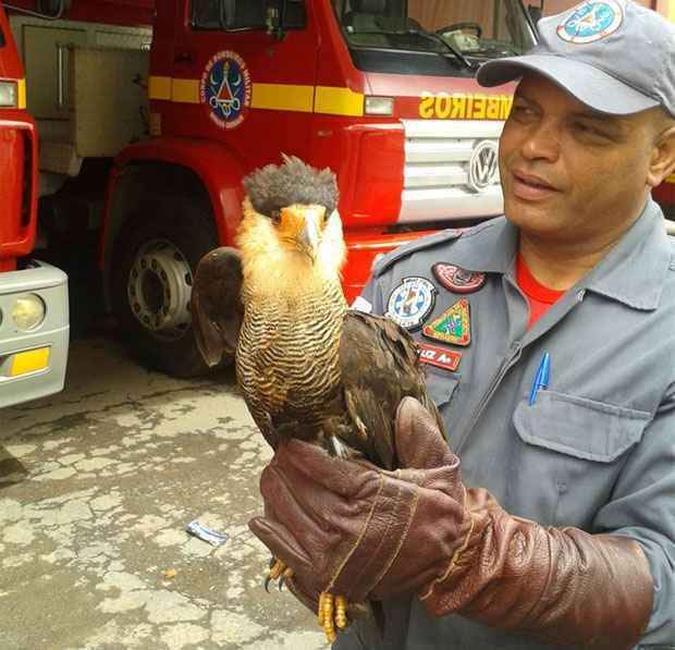(foto: Divulgao Corpo de Bombeiros)