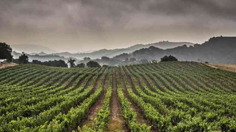 A agricultura representa 70% do uso de gua doce do planeta(foto: George Rose/Getty Images)