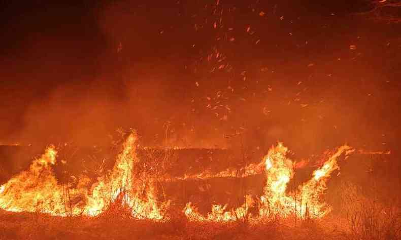 Chamas altas comearam durante a madrugada(foto: Corpo de Bombeiros/Divulgao)