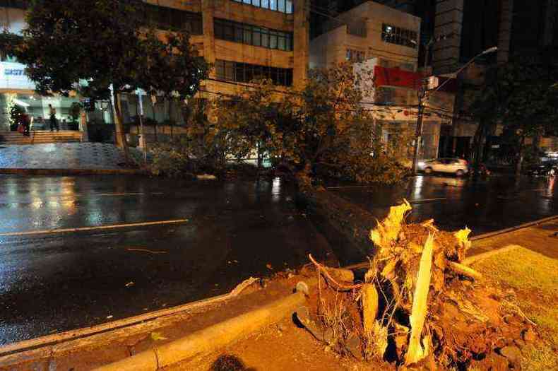 Na ltima sexta-feira, uma rvore caiu e interditou a Avenida do Contorno(foto: Marcos Vieira/EM/D.A Press)