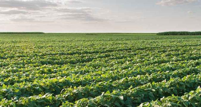 A multinacional Advanta vai investir R$ 200 milhões no mercado brasileiro, apesar do cenário ruim(foto: Advanta/Divulgação) A multinacional Advanta vai investir R$ 200 milhões no mercado brasileiro, apesar do cenário ruim(foto: Advanta/Divulgação)