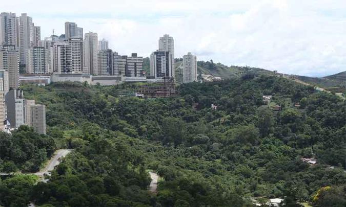Em Nova Lima, na Grande BH, um quarto do território ainda é de mata atlântica, mesmo com avanços das construções(foto: Edésio Ferreira/EM/DA Press) Em Nova Lima, na Grande BH, um quarto do território ainda é de mata atlântica, mesmo com avanços das construções(foto: Edésio Ferreira/EM/DA Press)