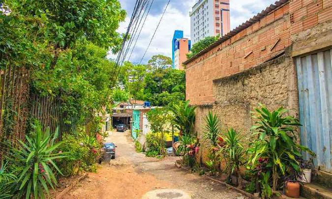 A Luízes é uma das maiores ameaçadas pela expansão imobiliária e por série de invasões(foto: Ricardo Laf/Divulgação) A Luízes é uma das maiores ameaçadas pela expansão imobiliária e por série de invasões(foto: Ricardo Laf/Divulgação)