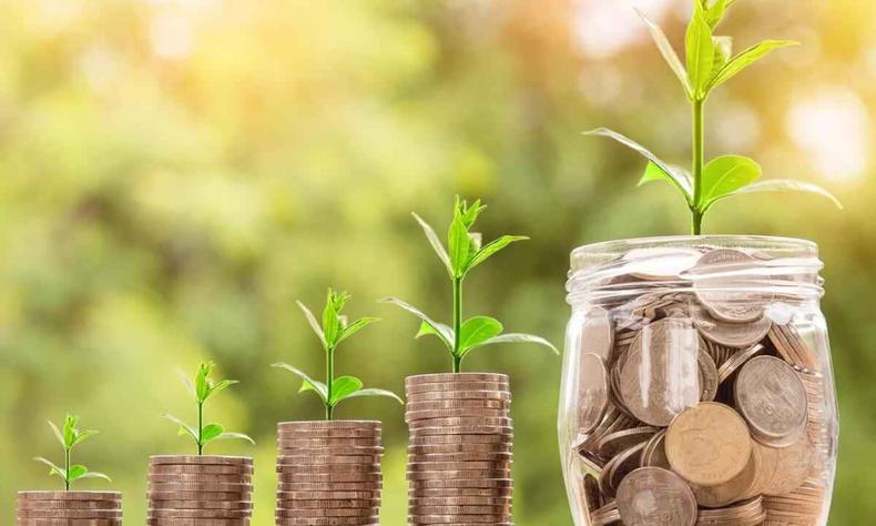 O capitalismo consciente se concentra nas pessoas e no meio ambiente(foto: Pixabay/reprodução) Montinhos de moeda com uma muda nascendo em cima. Ao fim, um pote de vidro cheio de moedas