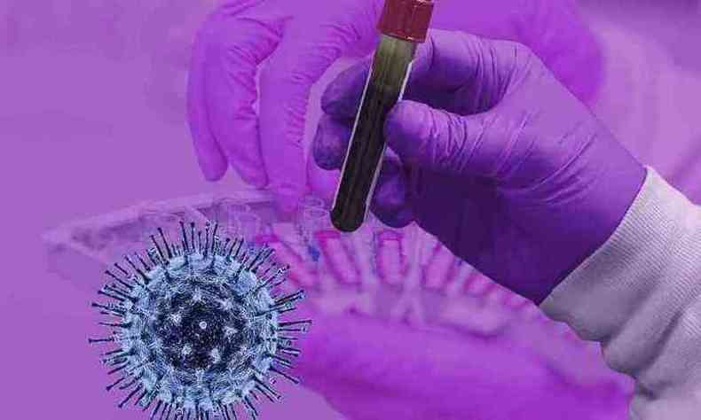 Teste rpido identifica dois tipos de anticorpos desenvolvidos no organismo para o combate ao coronavrus: as imunoglobulinas lgM e igG(foto: Pixabay/Reproduo)