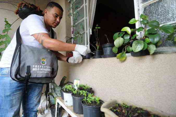 Agentes de sade vo eliminar os focos do mosquito(foto: Leandro Couri/EM/D.A Press)