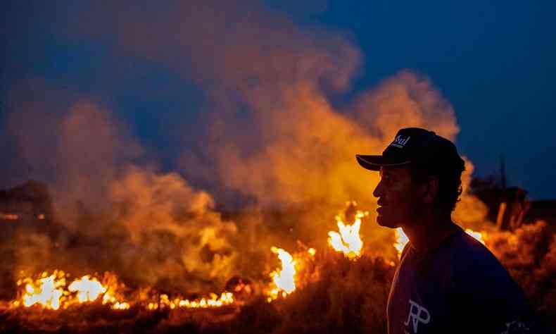 Fogo destri a floresta em Mato Grosso(foto: Joo Laet/AFP )