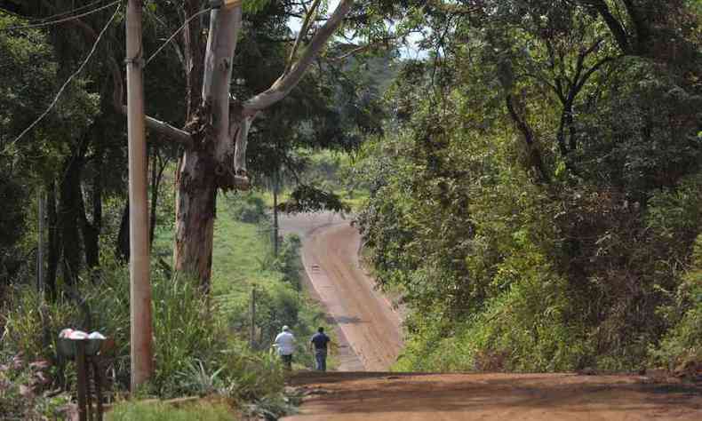 Estrada que liga Brumadinho ao Crrego do Feijo, na zona rural do municpio, mais atingida pelos rejeitos de minrio(foto: Alexandre Guzanshe/EM/D.A Press)