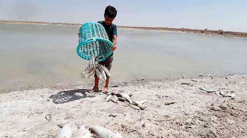 Represas construdas pela Turquia reduziram o fluxo de gua at o Iraque(foto: Haidar Mohammed Ali/AFP/Getty Images)