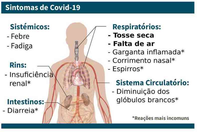 Topo Gigio faz vídeo com orientações de como se proteger do coronavírus