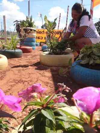 Maria Jos cuida de canteiro de flores e chs iniciado por ela h nove anos, um osis perto de lixo no Bairro Nova Cintra(foto: Jair Amaral/EM/DA Press)