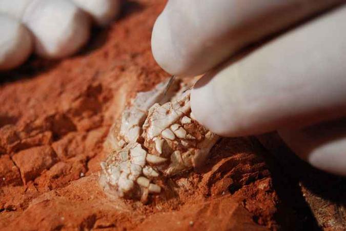 A descoberta de que dinossauros e lagerpetídeos chegaram a conviver indica que os grandes lagartos pré-históricos podem ter evoluído de forma mais gradual do que se imaginava(foto: LUIZ MUNHOZ/Ulbra/Divulgação/JC) A descoberta de que dinossauros e lagerpetídeos chegaram a conviver indica que os grandes lagartos pré-históricos podem ter evoluído de forma mais gradual do que se imaginava(foto: LUIZ MUNHOZ/Ulbra/Divulgação/JC)