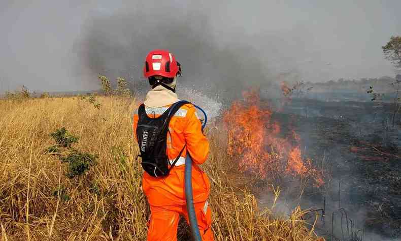 Combate ao incndio na Fazenda P do Morro, zona rural de Guaraciama, Norte de Minas