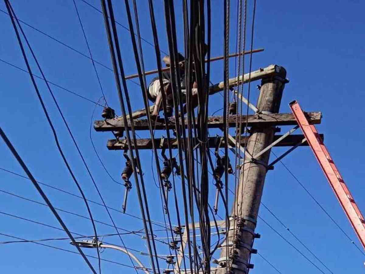 VÍDEO: homem completa quase 20 horas em cima de poste para fugir da PM -  Gerais - Estado de Minas