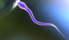 Cientistas desenvolvem plula anticoncepcional para homens 