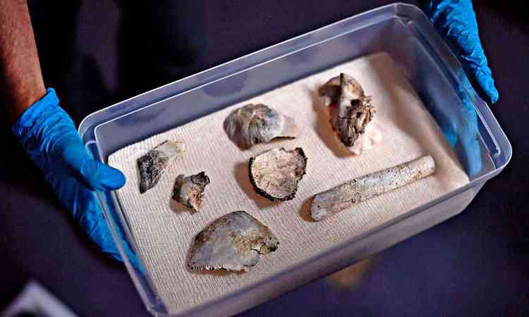 Numa bandeja, há fragmentos do esqueleto do fóssil Luzia resgatados entre escombros do incêndio no Museu Nacional, ocorrido em 2018